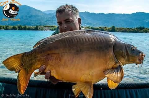 Carpfishing la modul meu 2015 - fbimg1452777342003.jpg